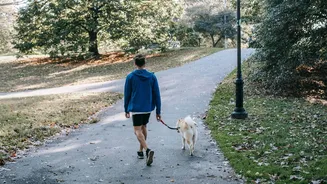 Walking can boost your health in these 5 ways