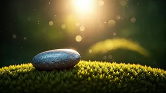 Wellness Habits Are Going Softer And Smarter