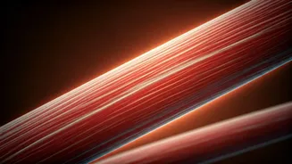 Why Muscles Grow Outside The Gym