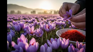 Kesar Can Be Your Winter Glow Secret! Here’s How To Use Saffron For Beautiful Skin