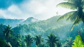 How To Capture Rainy Scenery On Drives From Bangalore To Agumbe Rainforests