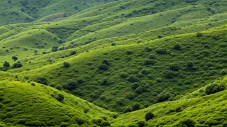 Rainy Gujarat Has Entered The Travel Moodboard
