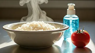 Monsoon Meals Need Hygiene, Heat And Moderation