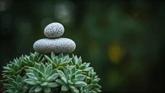 9 Simple Steps to Boost Happiness & Reduce Stress