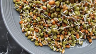 Delicious mung bean dishes you'll want to try today
