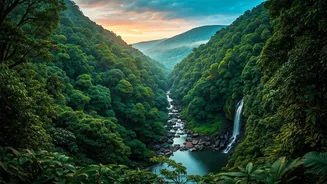 Couples Planning Wayanad Honeymoons Get Most Scenic Conditions Ever