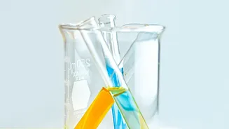 Naphthalene Balls In 2026 Without Overstating The Risk