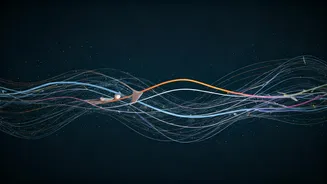 Navigating Travel Chaos: Delays, Reroutes, and Fare Hikes Affecting Indian Flyers