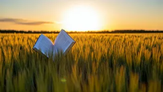 Daily Career Horoscope: October 28, 2025