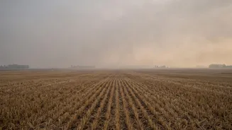 Why Crop-Residue Smoke Can Travel Beyond Agricultural Areas