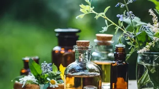 Ashwagandha vs Brahmi Remedies: Natural Ways Young Professionals Manage Work Stress Today