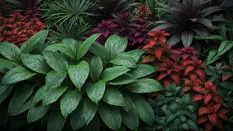 The Secret To Stunning Monsoon Gardens