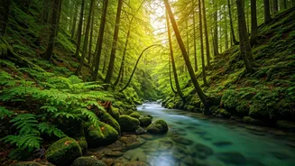 Odisha & Chhattisgarh: Unveiling Hidden Travel Gems