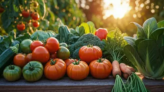 Home Growers Are Growing Food, Not Just Decor