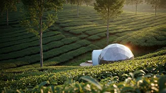 Secluded Ultra Private Eco Domes Overlook Tranquil Tea Gardens