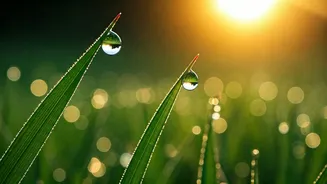 Embrace Your Best: Don Miguel Ruiz's Insight on Shifting Effort and Self-Compassion