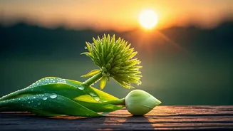 Happy Puthandu 2026: Embrace Renewal with 25+ Tamil New Year Wishes!