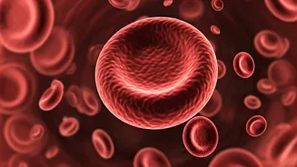 Wellness: 5 Positive Health Benefits Await You