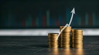 NPS for Aggressive Investors: A Detailed Guide