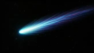 ATLAS Comet: Catching a Cosmic Spectacle