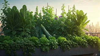 Rooftop Farms: Jaipur Innovator Cools 4,000+ Homes Naturally, Boosts Food Security