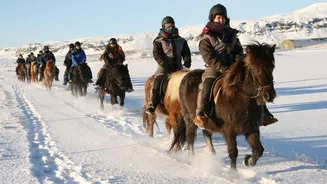 Once in Iceland, you must go horseback riding