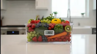 Quick-Commerce Grocery Safety Connects Spoilage, Expiry and Storage Checks with Real Decisions for Online Grocery Shoppers