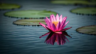 Navigating Life's Hurdles: Resilience and Well-being