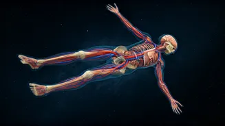 Related Stories banner