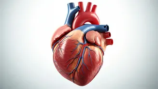 Cardiologist's Secret: Fasting for Visceral Fat Loss