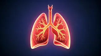 November 2025: Cancer's Monthly Horoscope