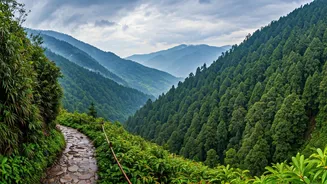 Nature Lovers Should Visit Sikkim This Rainy Season