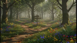Change The Route Of A Regular Walk To Add New Scents