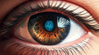 Eyes and Heart: What Scans Reveal