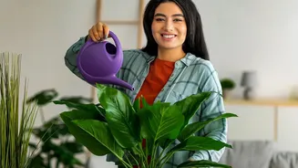 How Affordable IoT Soil Sensors Guide Urban Plant Parents On Proper Balcony Watering