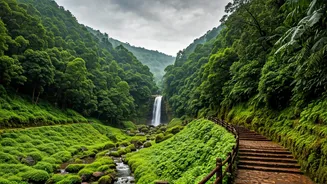 Gujarat's Only Hill Station Is Having A Moment