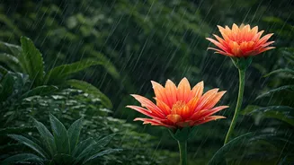 Experience-First Travel Is The Monsoon Trend Nobody Saw Coming