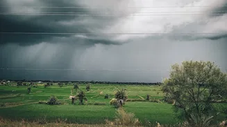 IMD Forecasts Heavy Rainfall Across India; Odisha Under Yellow Alert