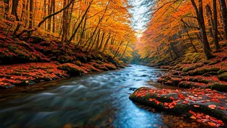 Aomori's Allure: 7 Must-See Experiences for Your Japan Trip