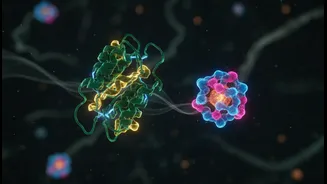 Organ-To-Organ Protein Signals Brings Fresh Context to Fat, Liver and Immune Messaging without Removing its Limits