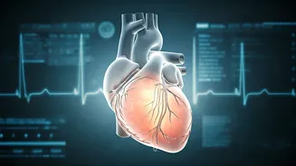 Indian Youth Invest Heavy In Long Term Health Systems