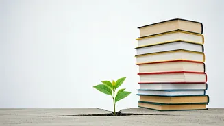 Gen Z's Career Goals: A New Approach