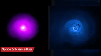 Science & Space Roundup: Top News of the Day (Dec 17)