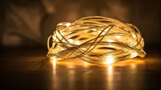 Exploring the Depths of Human Connection and Well-being