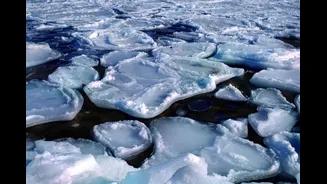 World's Oceans Record Highest Temperature in History