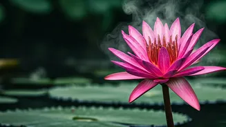 Related Stories banner