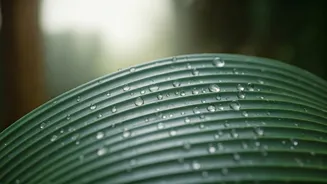 Ahmedabad Zoo's Summer Survival: Cooling Measures for its Animal Residents