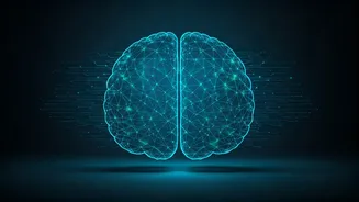 India's CALM-Brain: A Digital Leap in Understanding Psychiatric Disorders