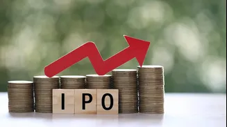 India's IPO boom to continue in 2026, says Goldman Sachs