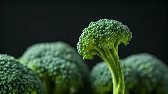 Broccoli Shoots Are The Easiest Way To Spike Daily Nutrients